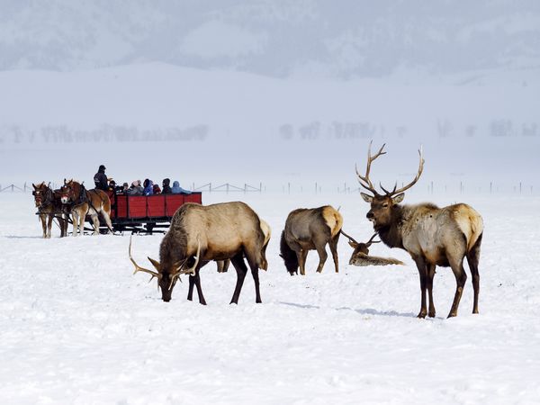 Onofficiële wintersport Wyoming