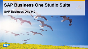 SAP Business One Studio Suite 900