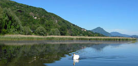 Lagoni di Mercurago, een wetland met leuke themapaden