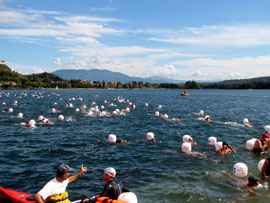 De Traversata: een gezellige zwemwedstrijd