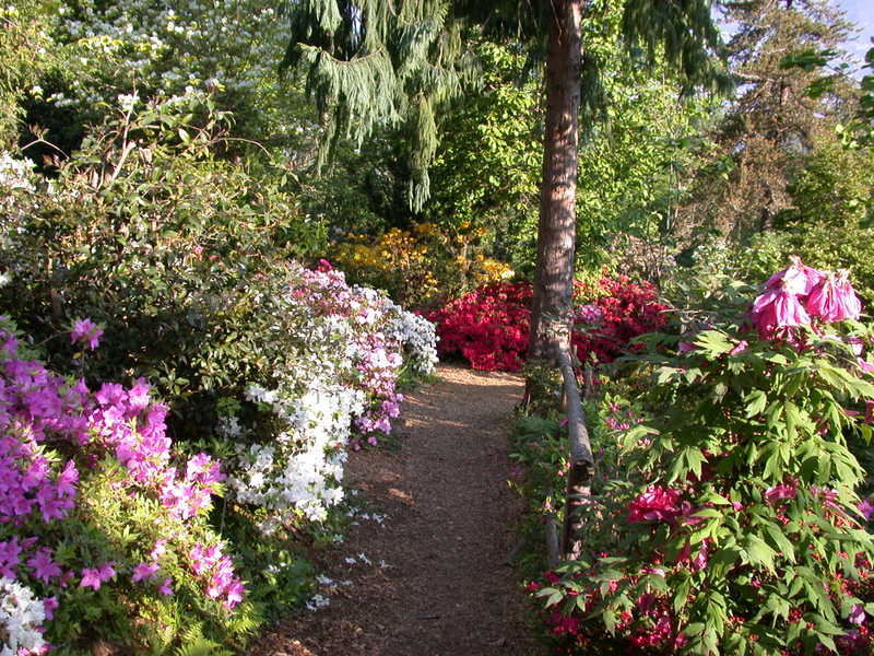 botanische tuin gambarogno