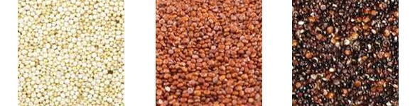 soorten quinoa