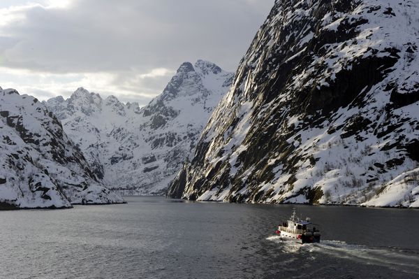 Hurtigruten