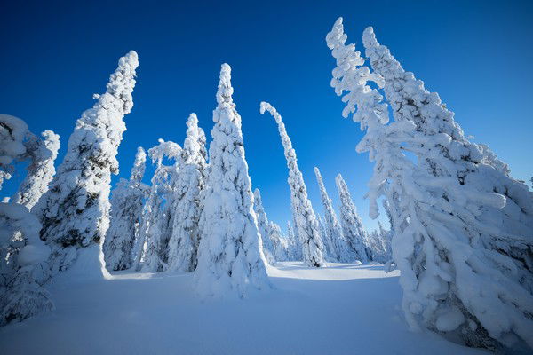 Twintig jaar directe vluchten Fins Lapland