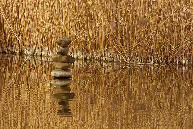 Evenwicht balans Reading Coaching