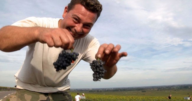 Burgundy: People with a Passion for Wine