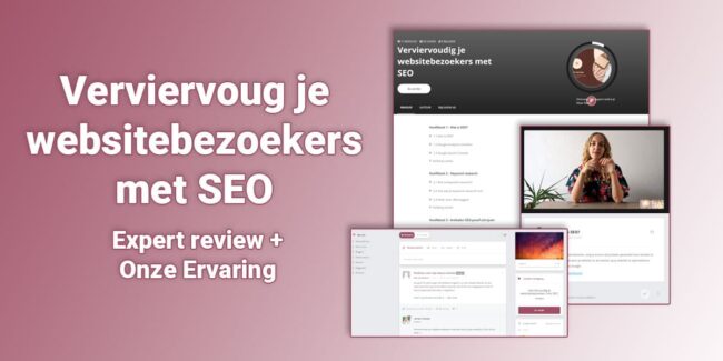 verviervoudig je websitebezoekers met SEO review