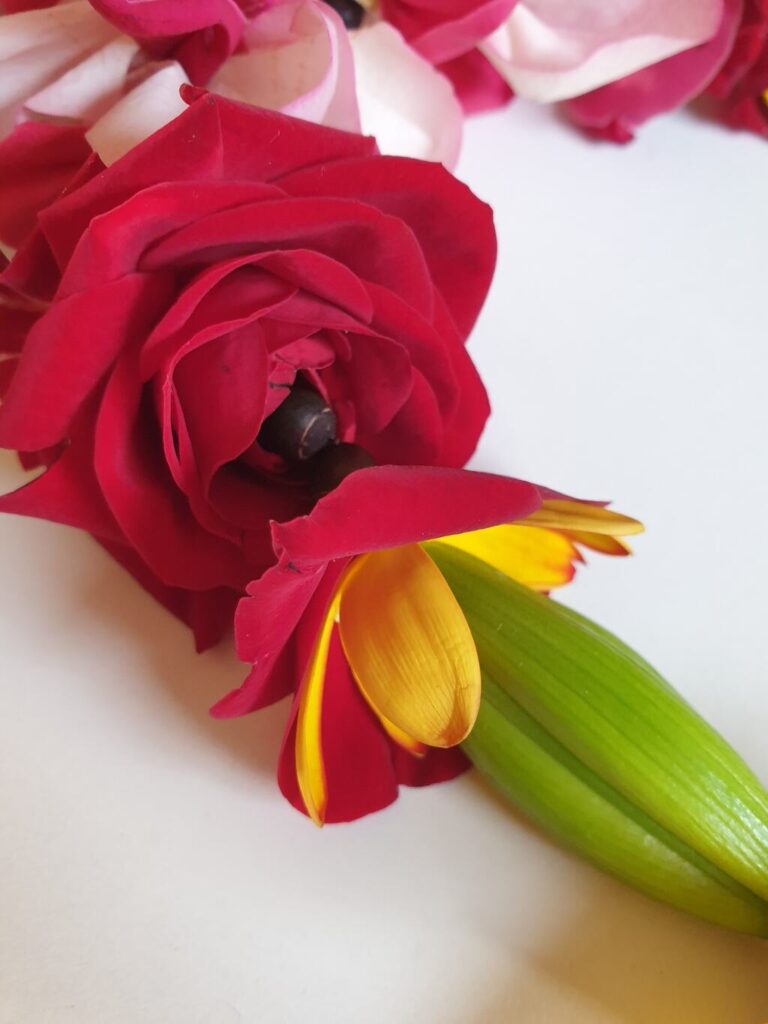 Shakti Bloemenmala Tonny Bol lelie, kelk bladeren rode roos witte rozenblaadjes cursus