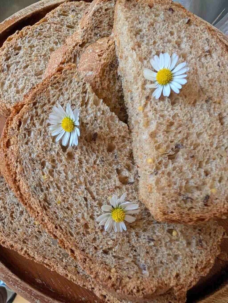 Shakti Bloemenmala Tonny Bol versgebakken eigen brood echte madeliefjes geserveerd lunch workshop natuurlijke producten zelfzorg bewustwording