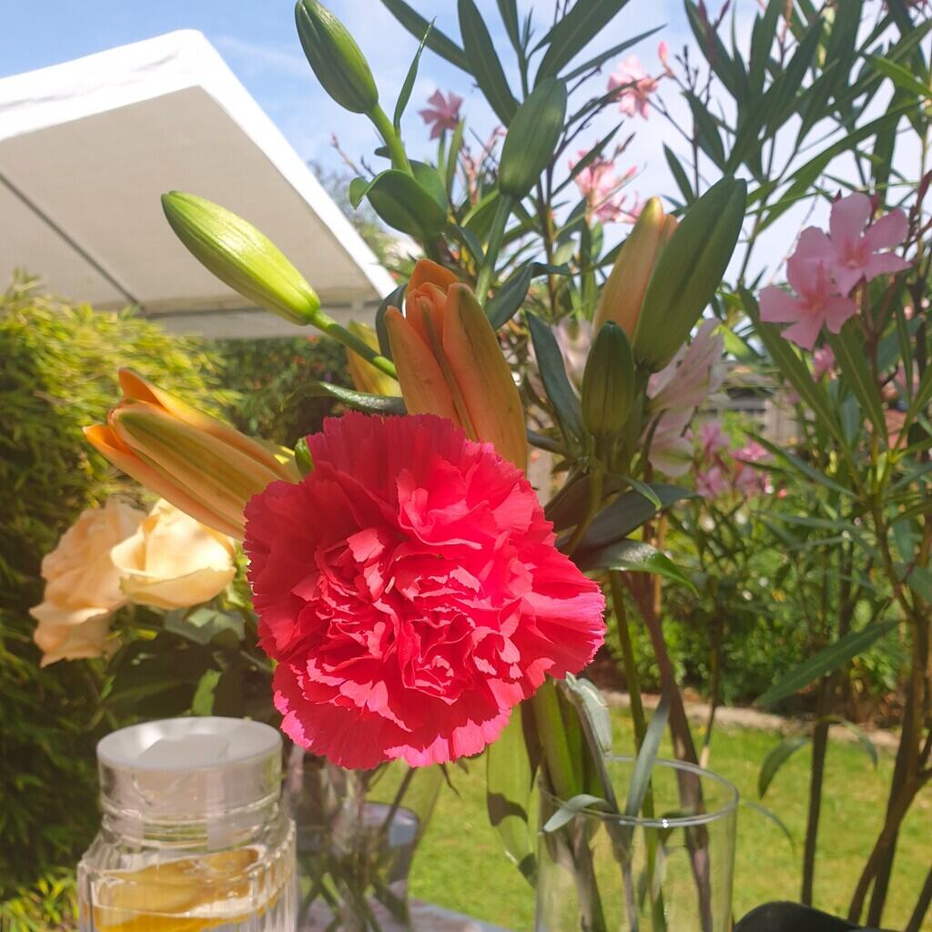 Shakti Bloemenmala Tonny Bol vaas rozen lelie anjer oleander zomerdrankje tuin bloemenworkshop voorbereidingen verse Indiase bloemenkransen maken