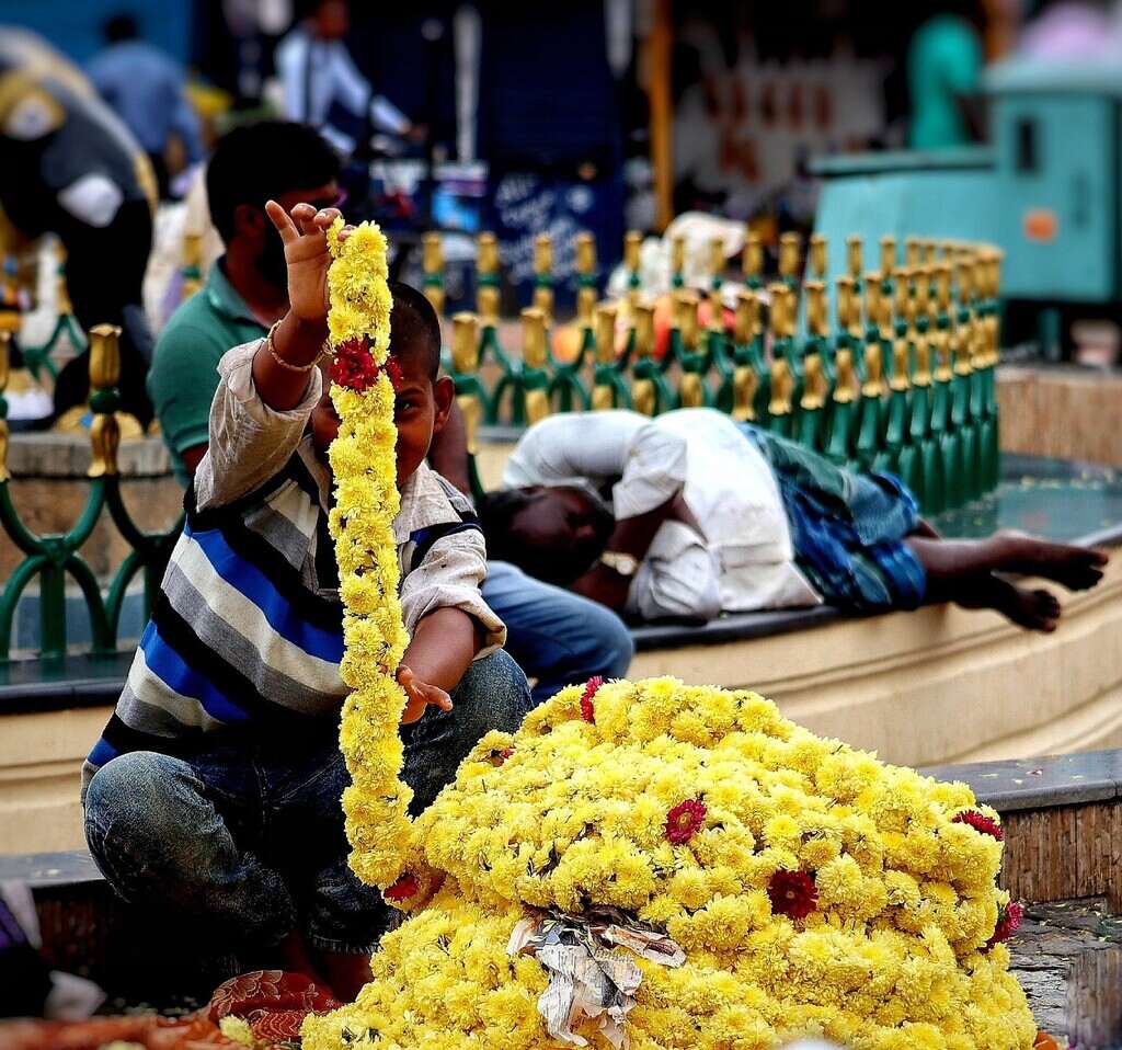 Shakti Bloemenmala Tonny Bol Indiaas straatbeeld jonge jongen toont lange bloemenslingers gele chrysanten hele hoop liggend grond Rust in je hoofd en ruimte in je hart