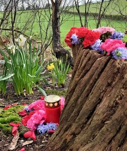 Shakti Bloemenmala Tonny Bol gedenkmala's donker rose, rode anjers en paarse hyacinten, narcissen, boomstronk en weiland, kaarslicht