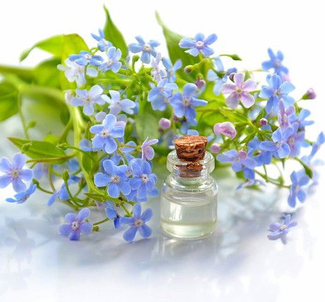 cosmetic-oil- blauw Shakti Bloemenmala Tonny Bol advies Introductie avond essentiële oliën 100 % zuivere etherische doTERRA Welness Advocate Nijmegen Berg en Dal