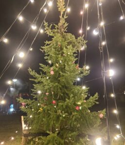 Shakti Bloemenmala, Tonny Bol, kerstboom Hamersveld Berg en Dal met lichtjes en bloemenslinger met wijkfeest