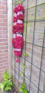 Shakti bloemenmala's Tonny Bol Maha mala donker rose en paars aan schutting hangend in tuin