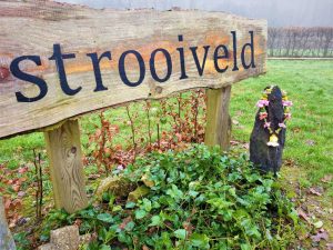 Shakti bloemenmala's Tonny Bol mala om staande steen bij bord strooiveld