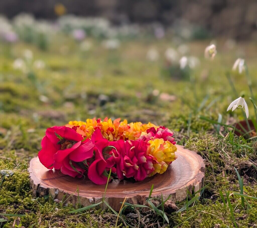 Shakti Bloemenmala Tonny Bol Bloemenmala's brengen vernieuwing in uitvaartzorg