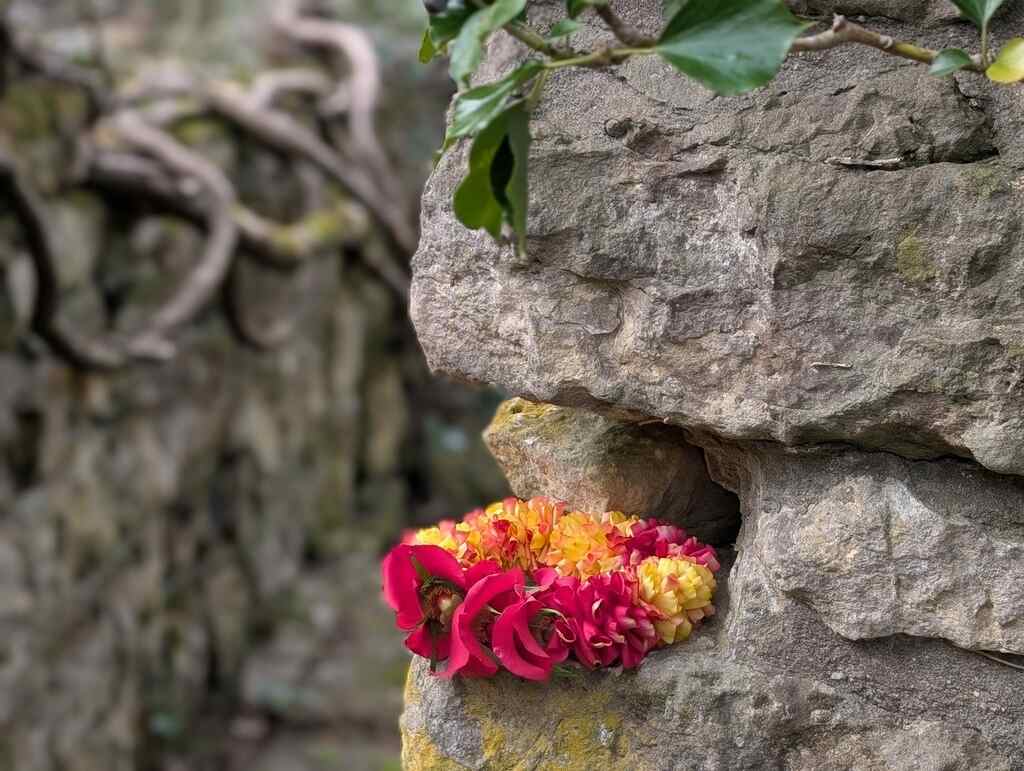 Shakti Bloemenmala Tonny Bol Bloemenmala's brengen vernieuwing in uitvaartzorg grafsteen