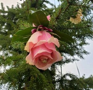 Shakti Bloemenmala, Tonny Bol, rose roos aan bloemenslinger in kerstboom op Hamersveld in Berg en Dal