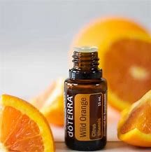 Shakti Bloemenmala Tonny Bol flesje wild orange zuivere essentiële olie Doterra gratis product initiatiefnemer Shakti workshop op maat
