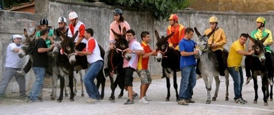 Ezels in de race in Asciano