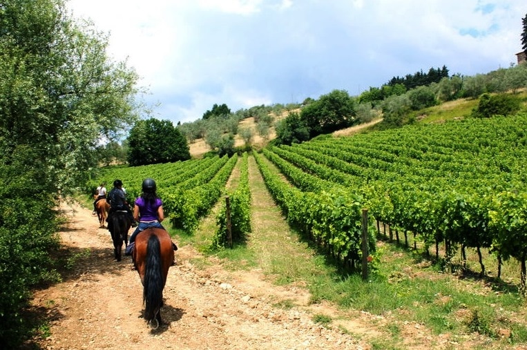 Toscane_sport-paard.jpg