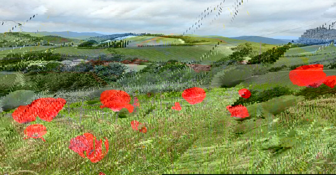 Wijnproeven in Toscane: van Chianti tot de agriturismo-ervaring